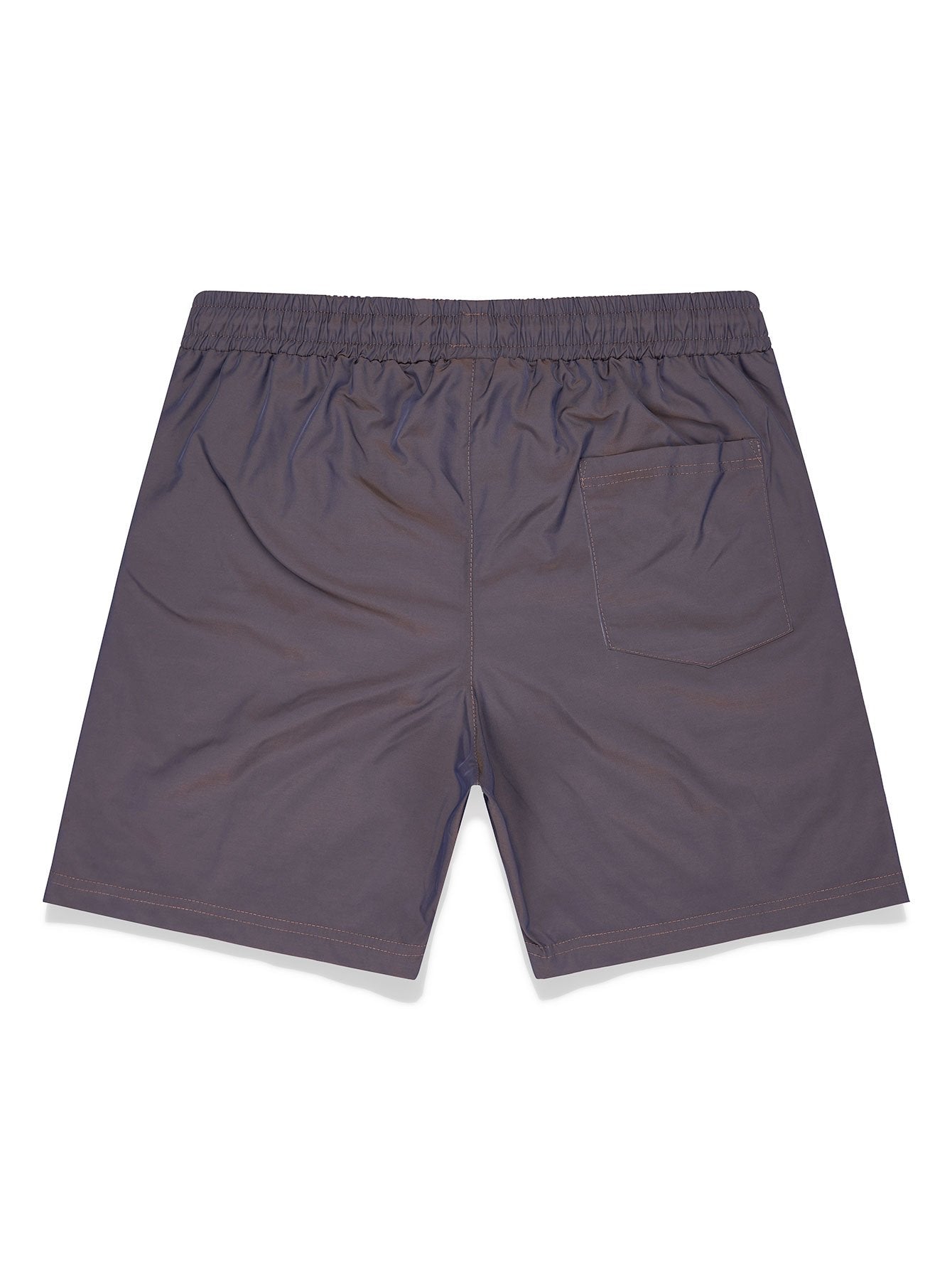 Stormy Iridescent Swim Shorts