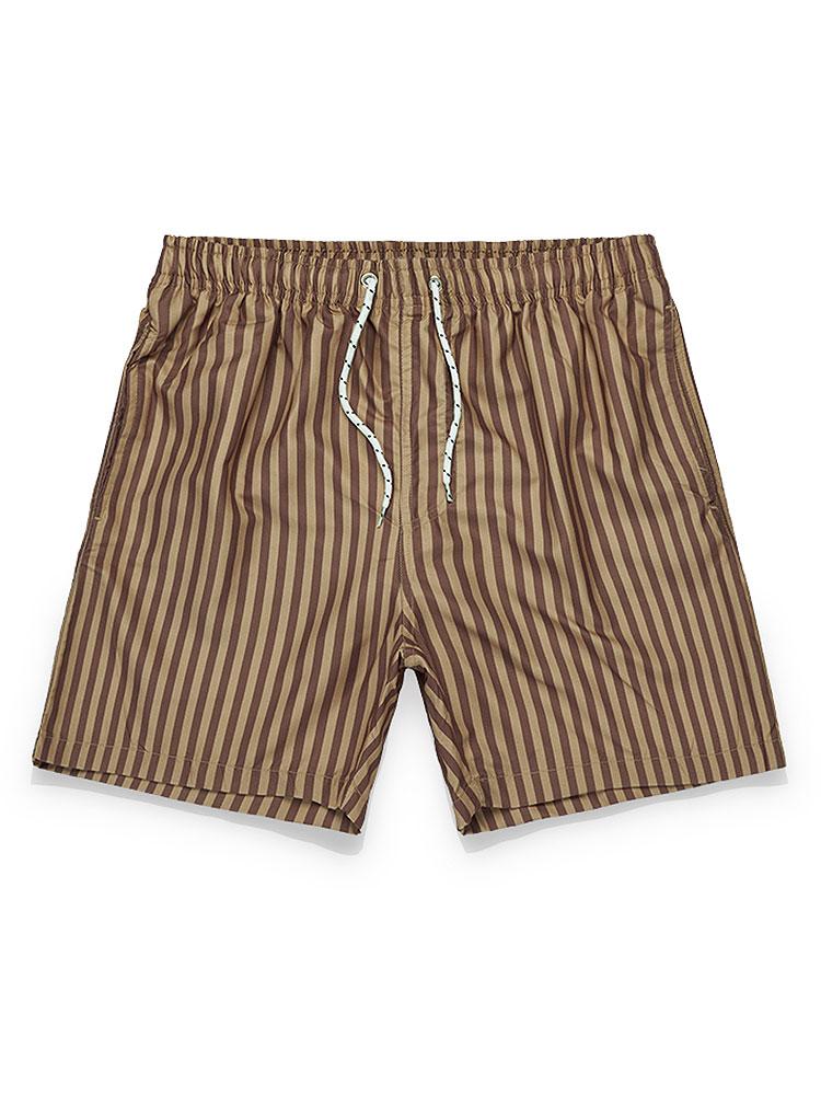 Striped Swim Shorts