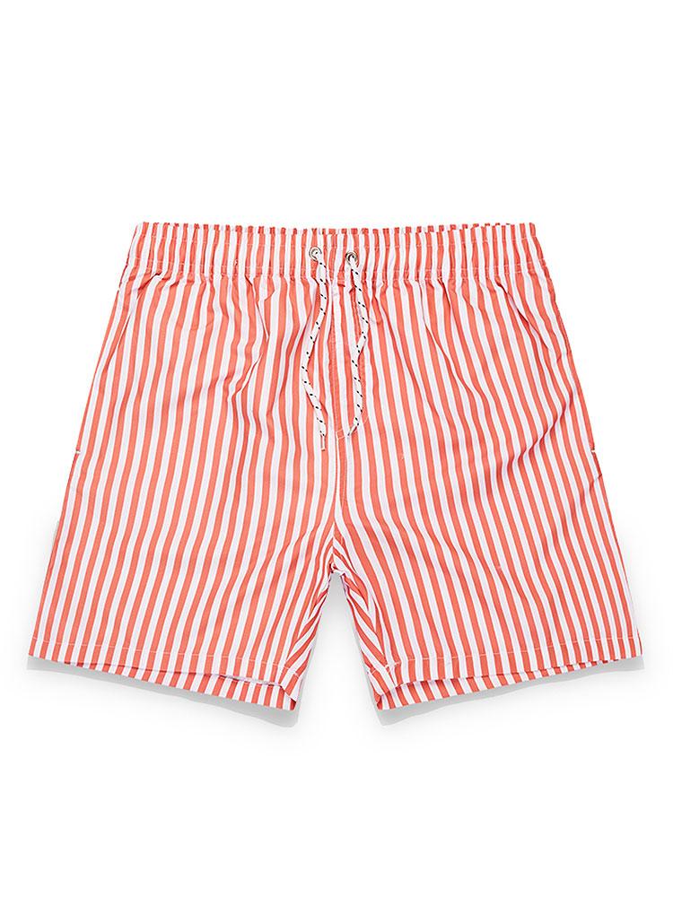 Striped Swim Shorts