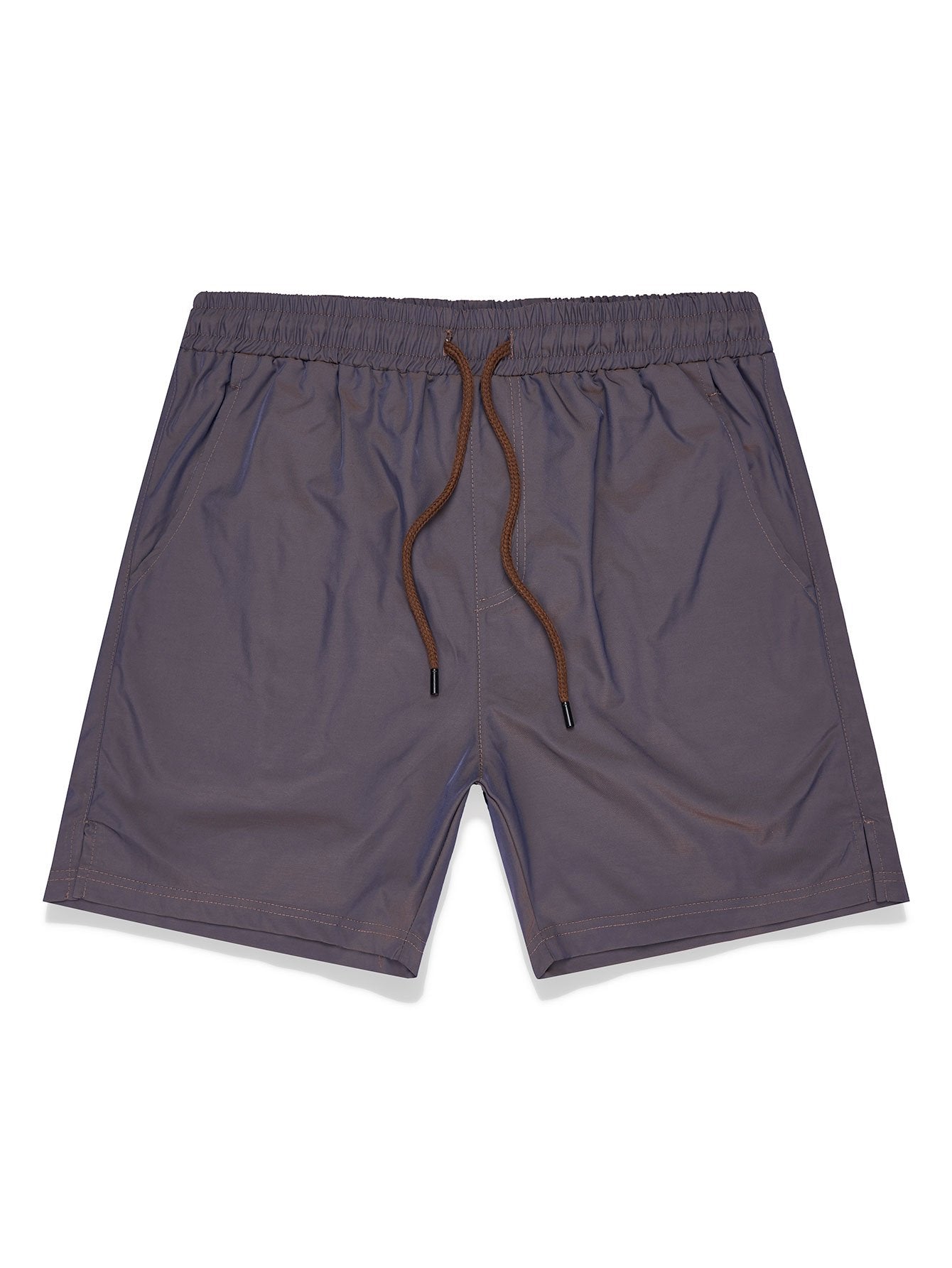 Stormy Iridescent Swim Shorts